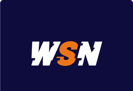 WSN Website logo