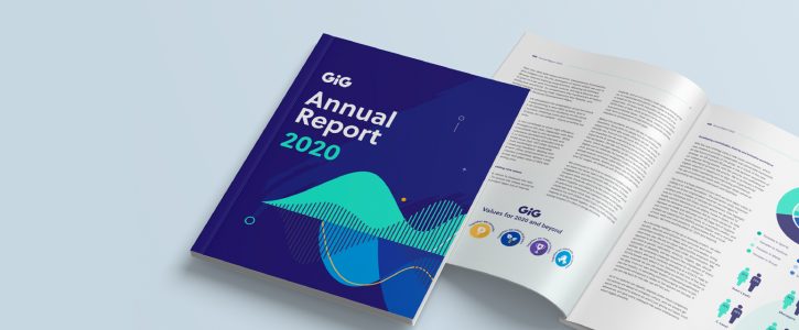 Gaming Innovation Group Inc. – 2020 Annual Report and Sustainability Report